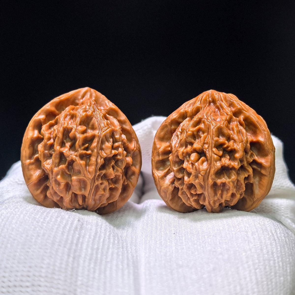 The Royal "Palace Lantern Turtle Shell" Gongdeng Wuguibei Pocket Masterpiece | 34.0mm x 37.0mm | GDWGB-401E - ThePatinaProject