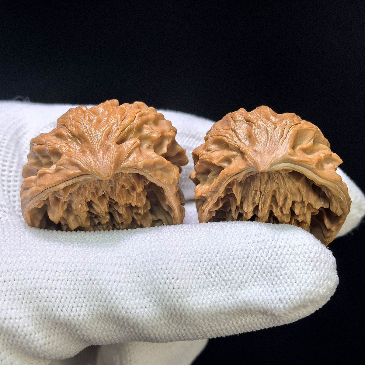 The Royal "Panshan Snake Head Treasure Basin" Panshan Shetou Jubaopen Hand-Rolling Masterpiece | 30.0mm x 25.0mm | PSJBP-401E - ThePatinaProject