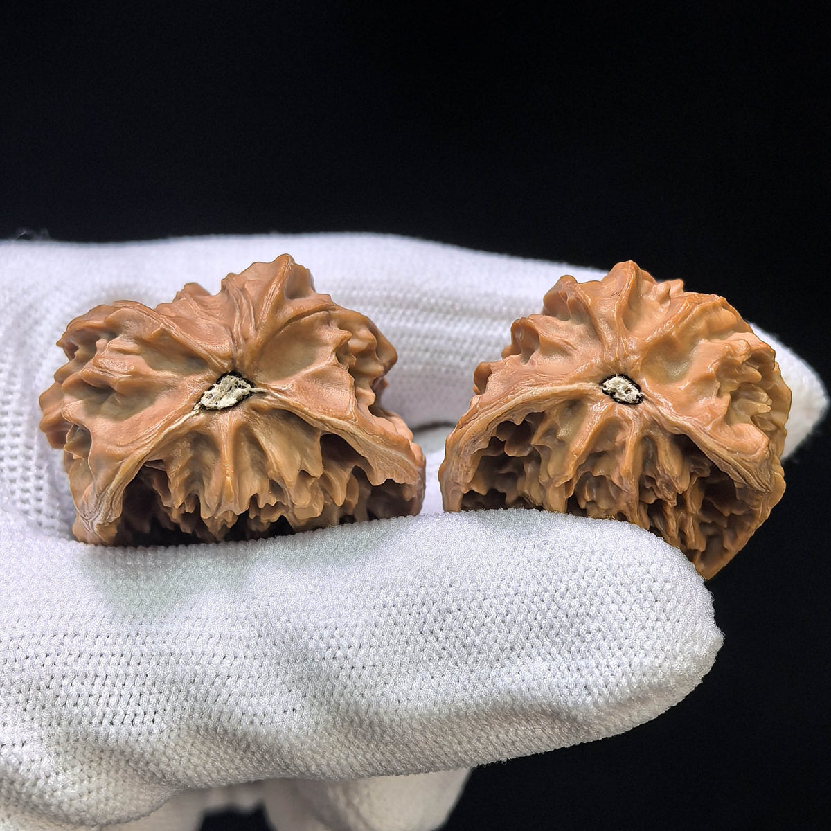 The Royal "Panshan Snake Head Treasure Basin" Panshan Shetou Jubaopen Hand-Rolling Masterpiece | 30.0mm x 25.0mm | PSJBP-401E - ThePatinaProject
