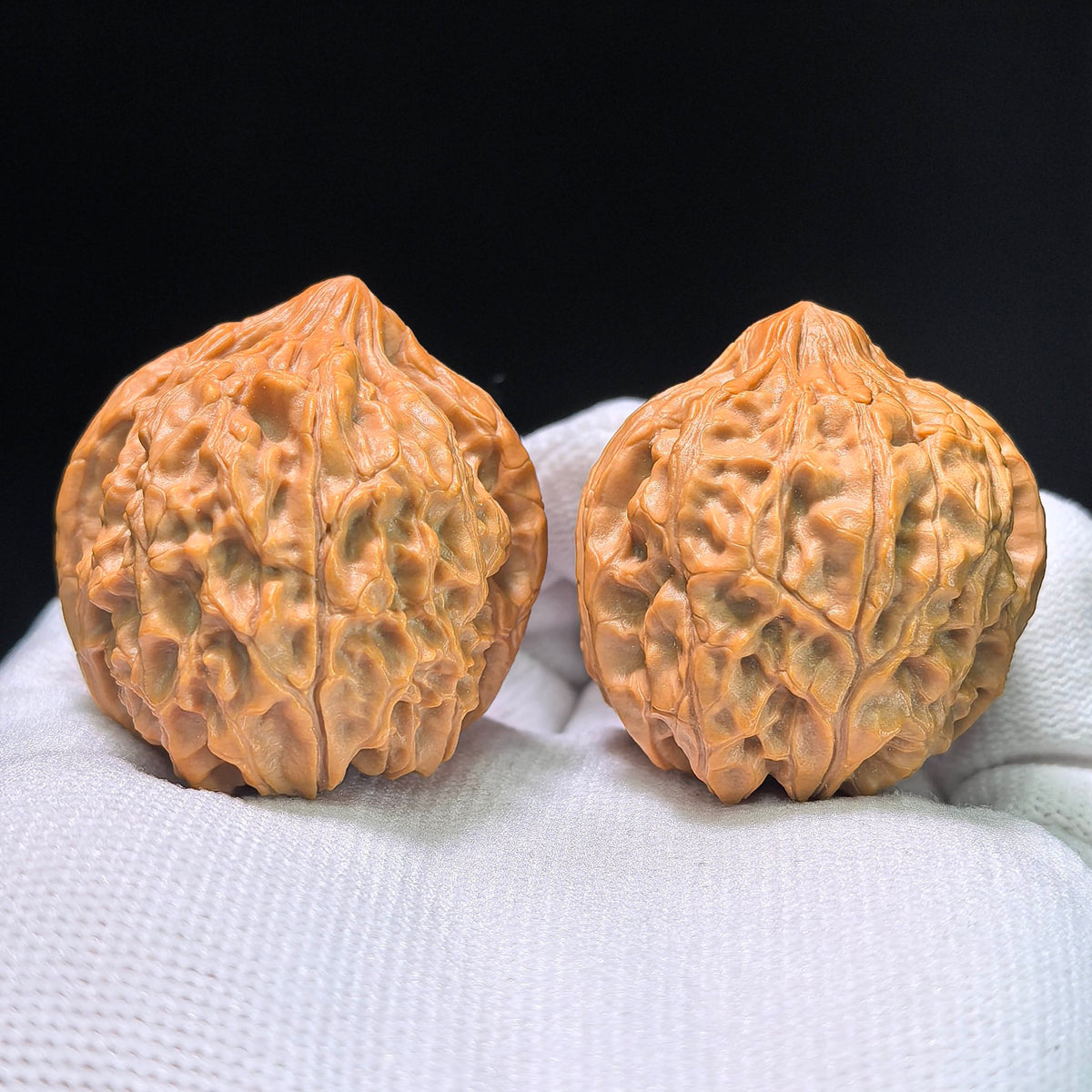 The Royal Three-Ridge "Ding" Wangxi Masterpiece | 37.0mm x 41.0mm | YXSZTSN-1401E - ThePatinaProject
