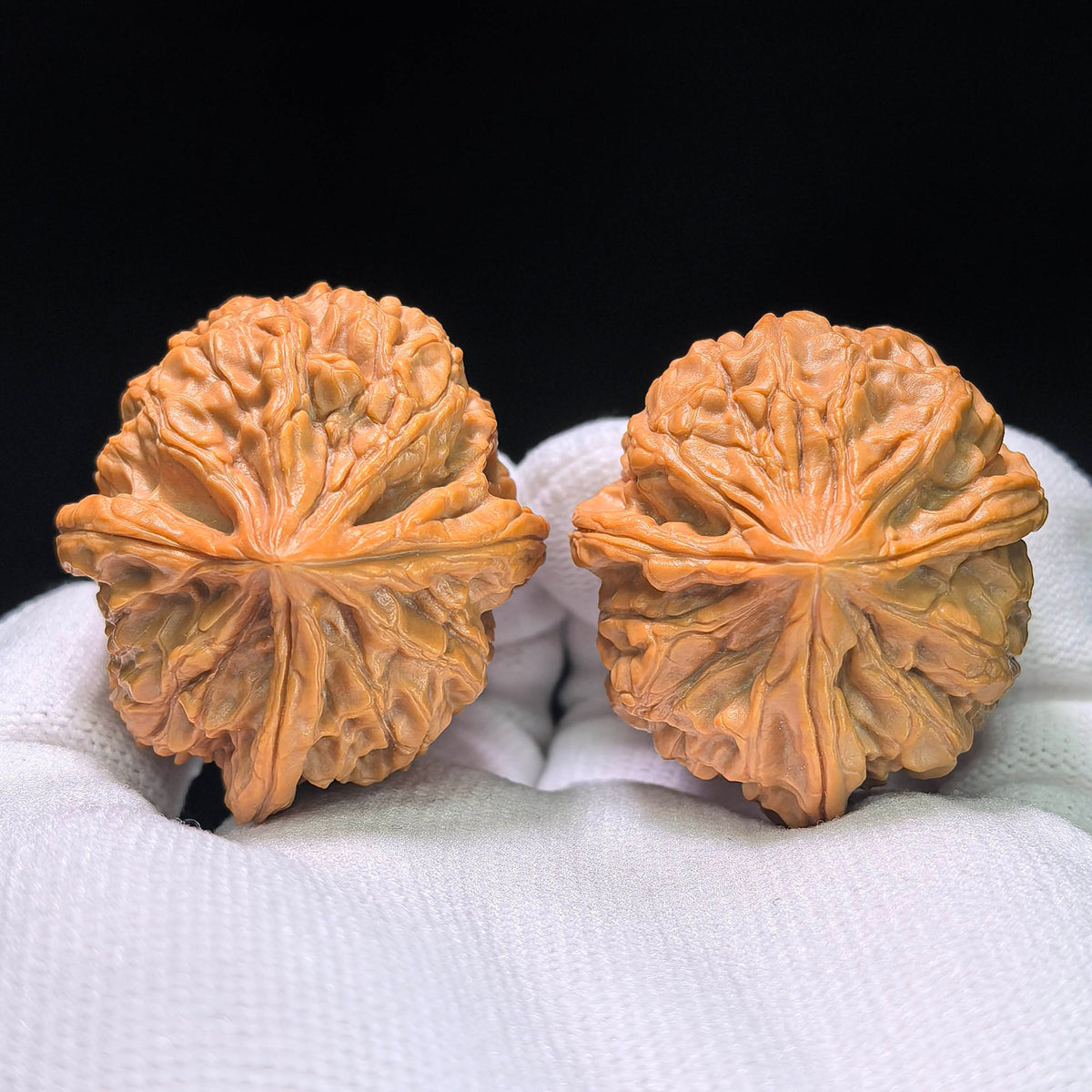 The Royal Three-Ridge "Ding" Wangxi Masterpiece | 37.0mm x 41.0mm | YXSZTSN-1401E - ThePatinaProject