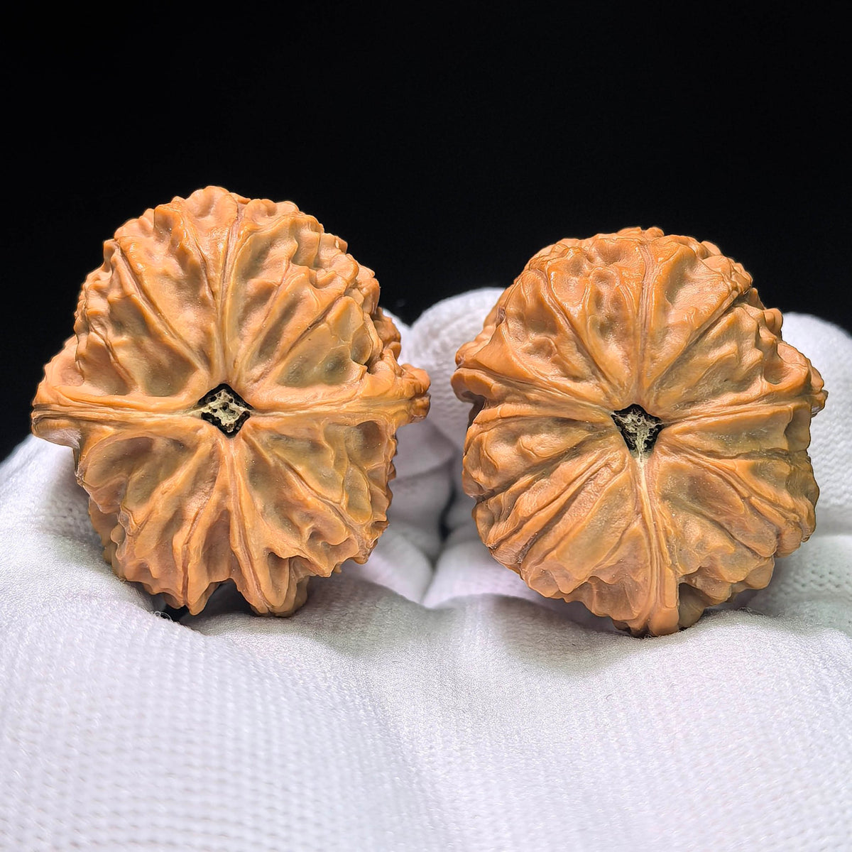 The Royal Three-Ridge "Ding" Wangxi Masterpiece | 37.0mm x 41.0mm | YXSZTSN-1401E - ThePatinaProject