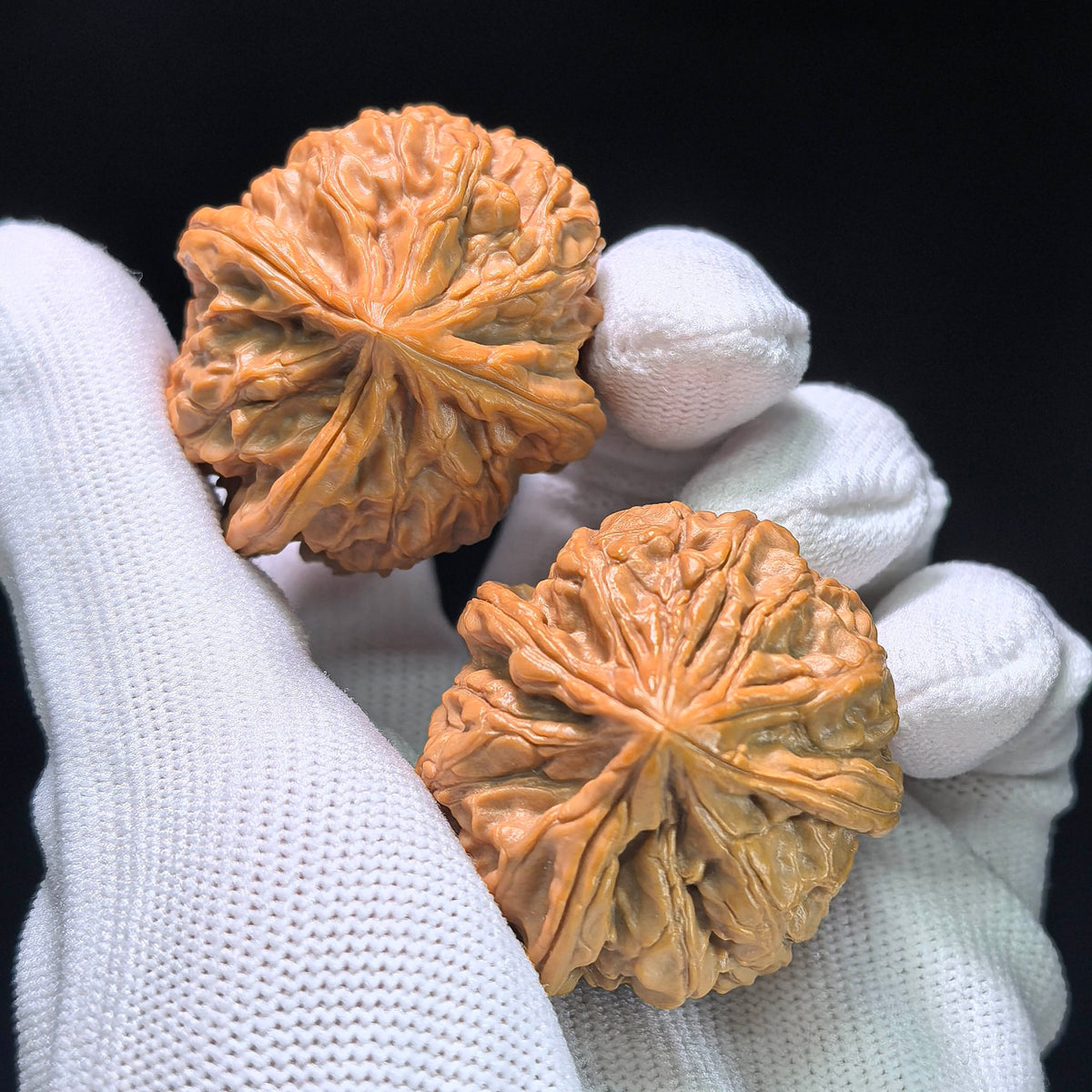 The Royal Three-Ridge "Ding" Wangxi Masterpiece | 37.0mm x 41.0mm | YXSZTSN-1401E - ThePatinaProject