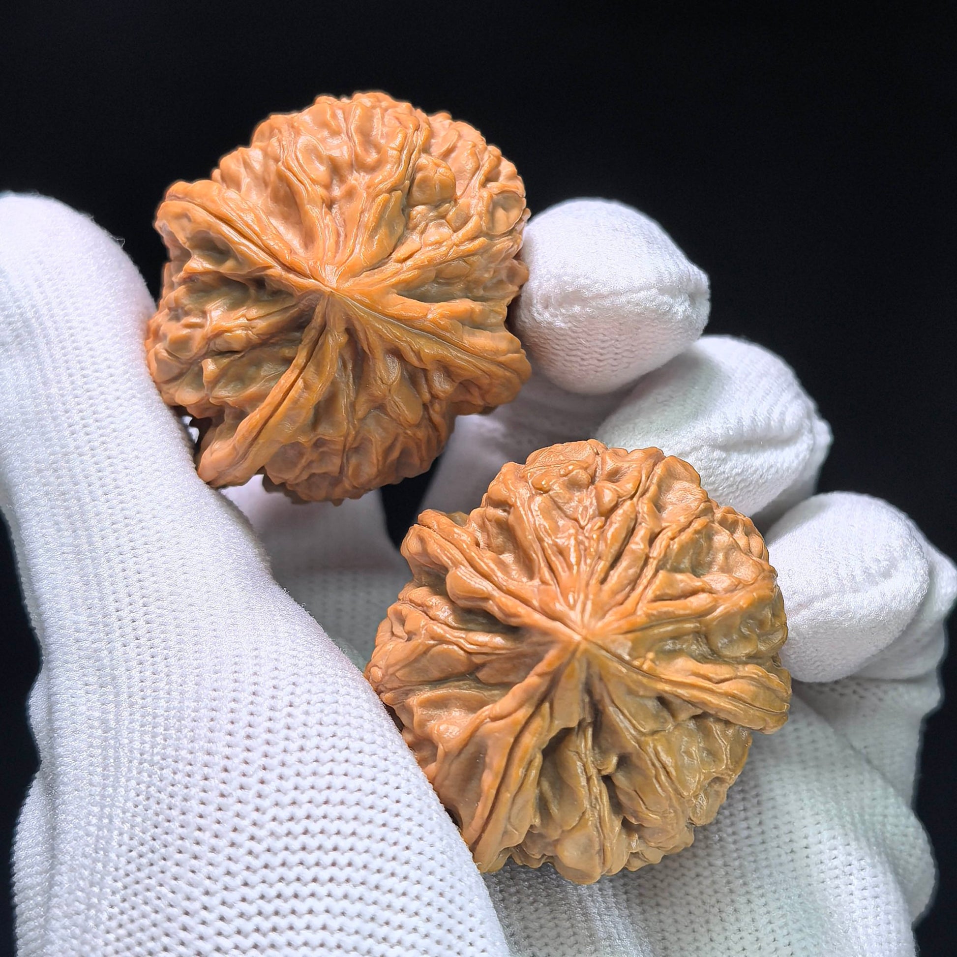 The Royal Three-Ridge "Ding" Wangxi Masterpiece | 37.0mm x 41.0mm | YXSZTSN-1401E - ThePatinaProject