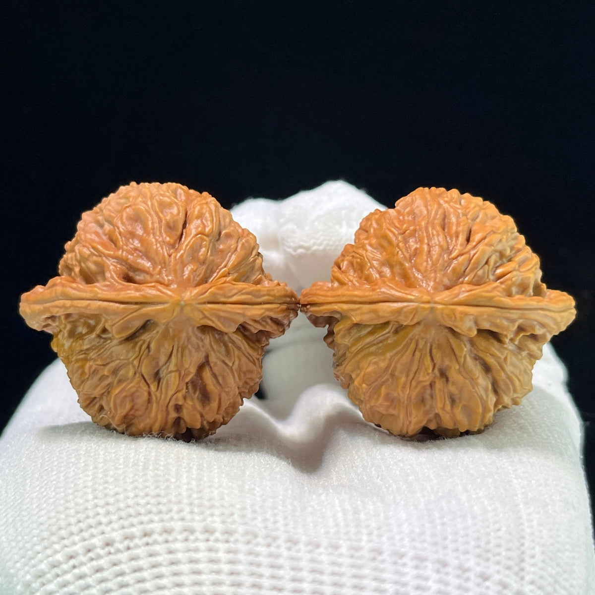 The Royal "White Lion" Baishizi Lion Head Pocket Masterpiece | 37.0mm x 35.0mm | BSZ-1002 - ThePatinaProject