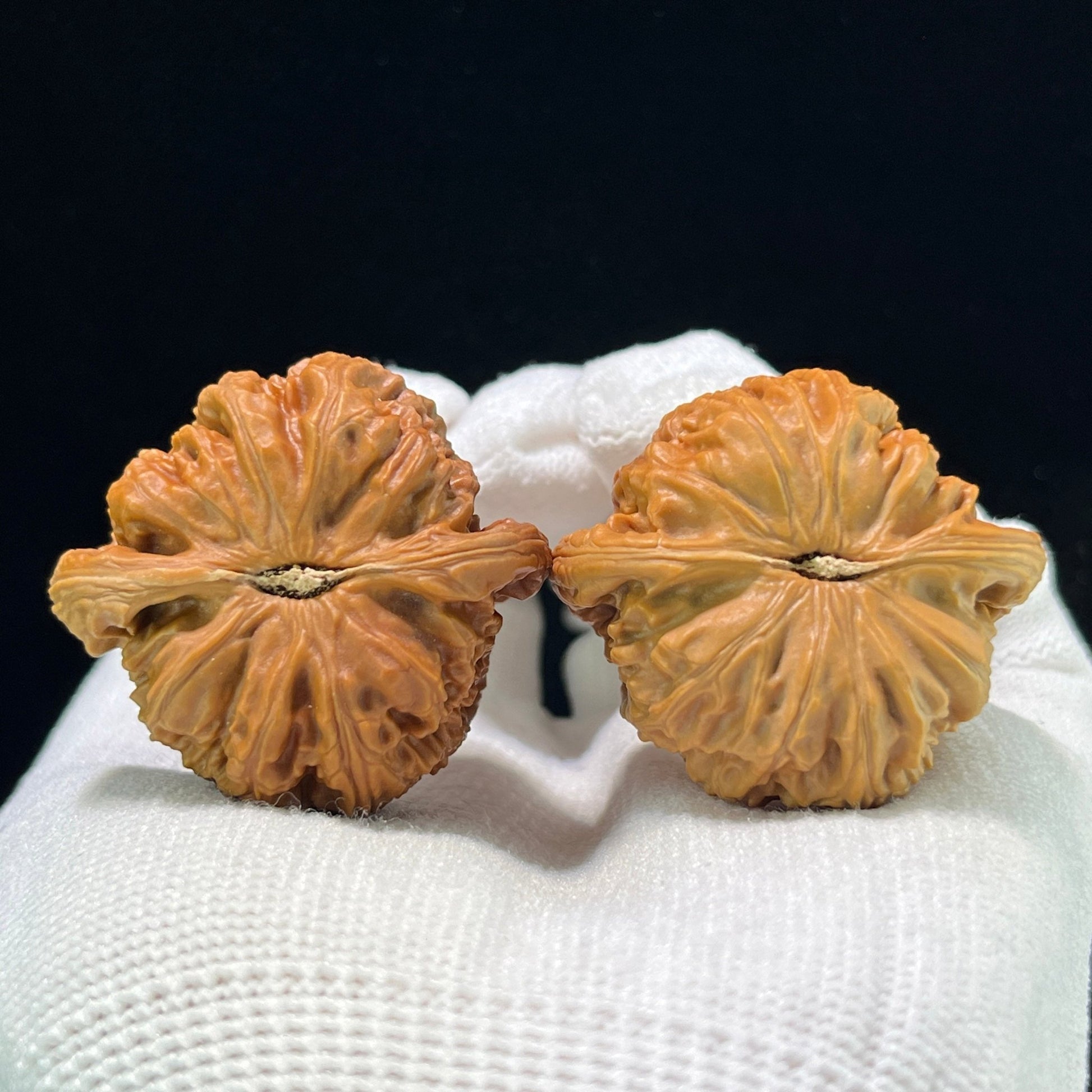The Royal "White Lion" Baishizi Lion Head Pocket Masterpiece | 37.0mm x 35.0mm | BSZ-1002 - ThePatinaProject