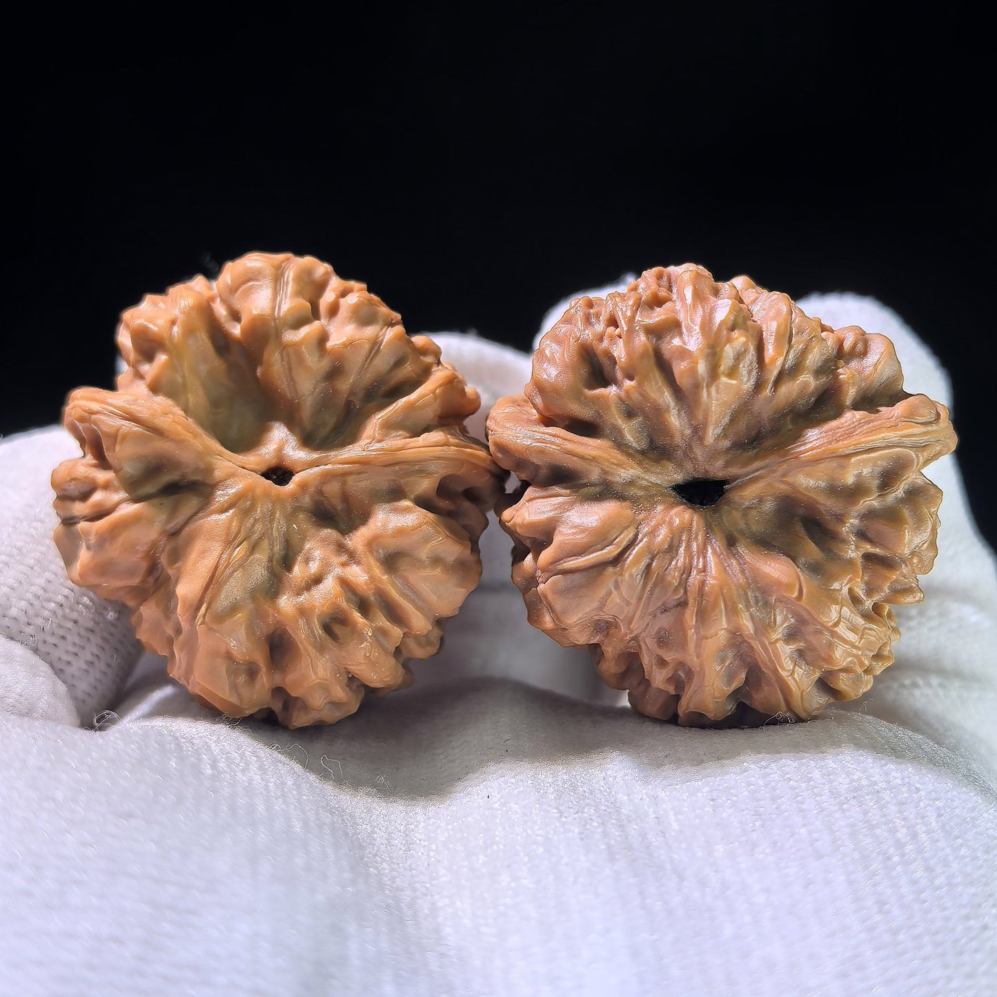 The "Seated Buddha" Guanmao Cross-Variety Pair | 34.0mm x 36.0mm | GMZF-1201E - ThePatinaProject