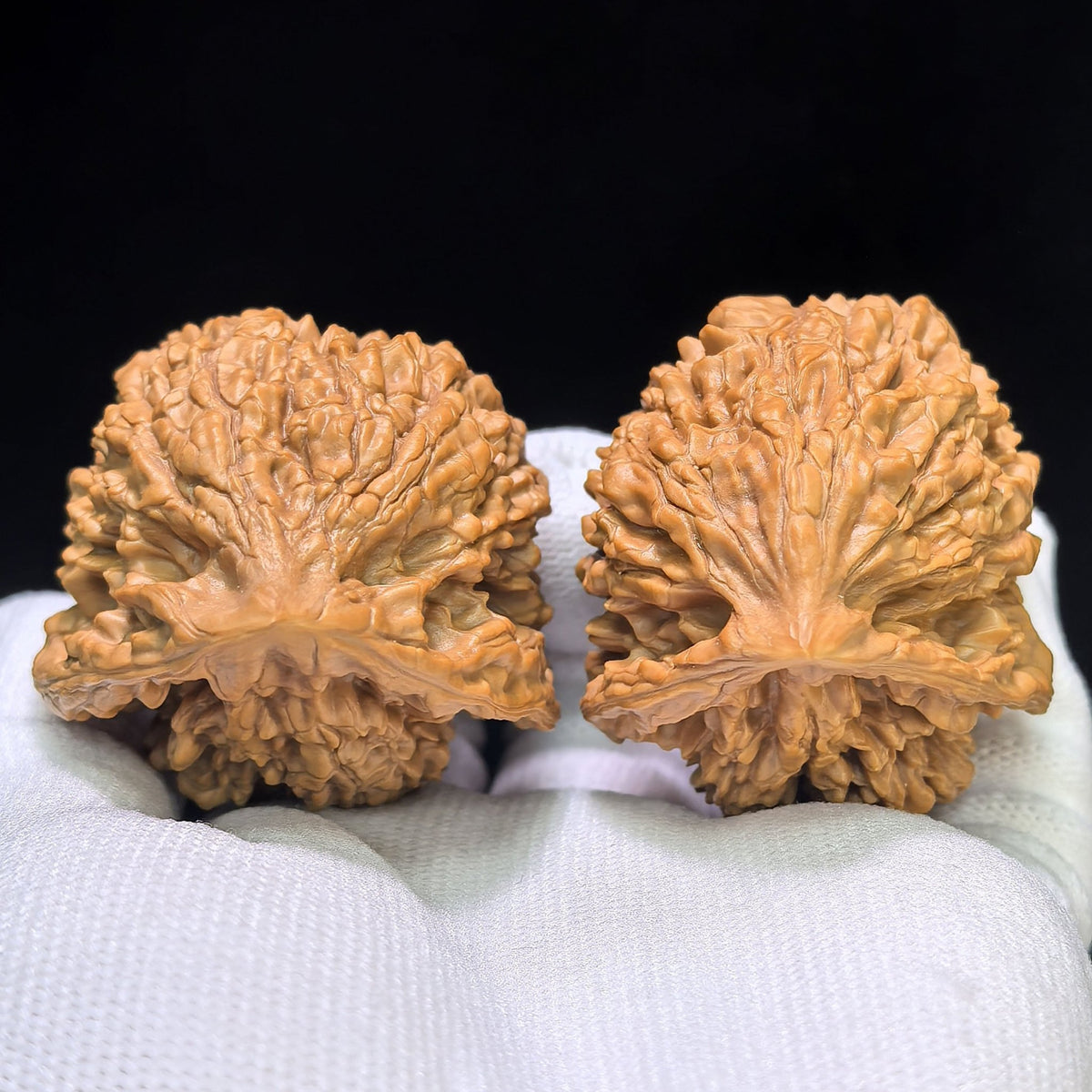 The Serene "Kylin-Texture Seated Buddha" Qilinwen Zuofo Premium Selection | 42.0mm x 40.0mm | QLWZF-402E - ThePatinaProject