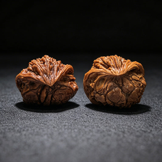 "The Serpent King & Queen" (Shewang Shehou) Scholar Walnuts Pair | 41.0mm x 35.0mm | Legendary Heritage Matching | Exclusive Collector Grade Masterpiece | Stock ID: SWSH-C01E - ThePatinaProject