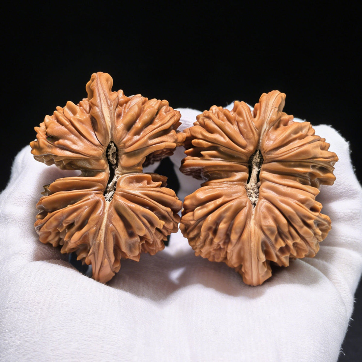 The "Si Zuo Lou" Conjoined Twin (Lian Ti) Pair | Collection Grade | 58mm & 55mm | SZLLT-01S - ThePatinaProject
