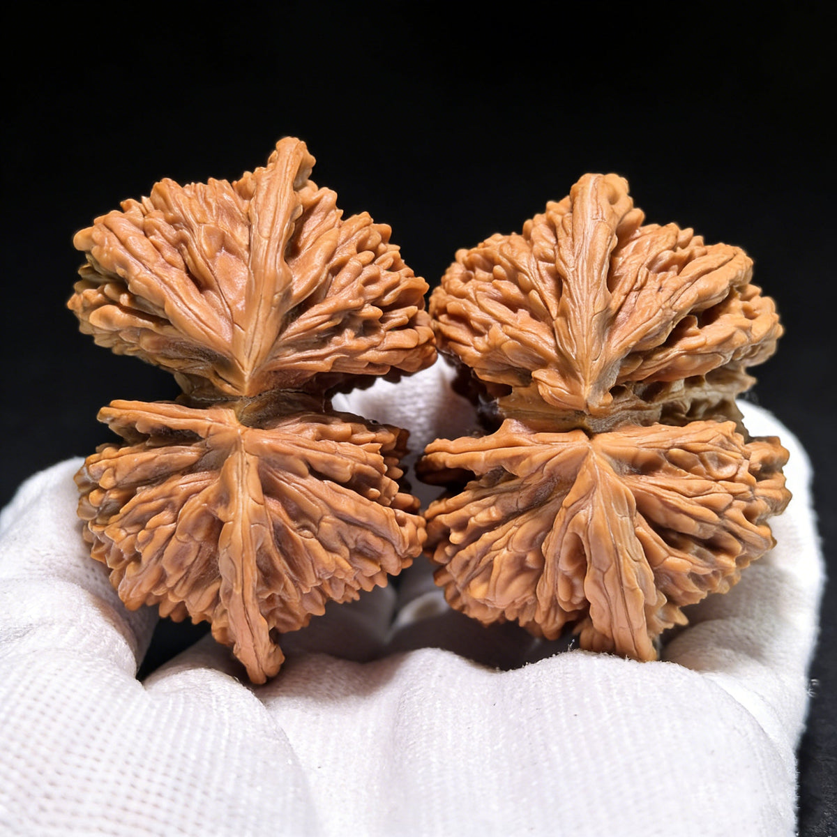 The "Si Zuo Lou" Conjoined Twin (Lian Ti) Pair | Collection Grade | 58mm & 55mm | SZLLT-01S - ThePatinaProject