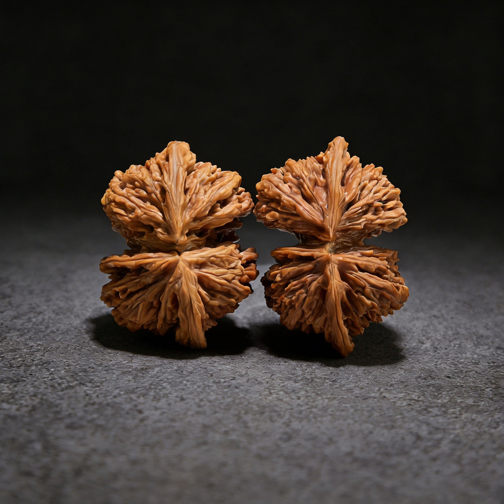 The "Si Zuo Lou" Conjoined Twin (Lian Ti) Pair | Collection Grade | 58mm & 55mm | SZLLT-01S - ThePatinaProject