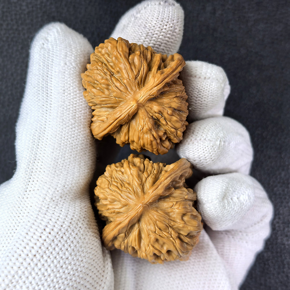 The "Si Zuo Lou" Lion Head Pair | 34.0mm x 35.0mm | SZL-1007 - ThePatinaProject
