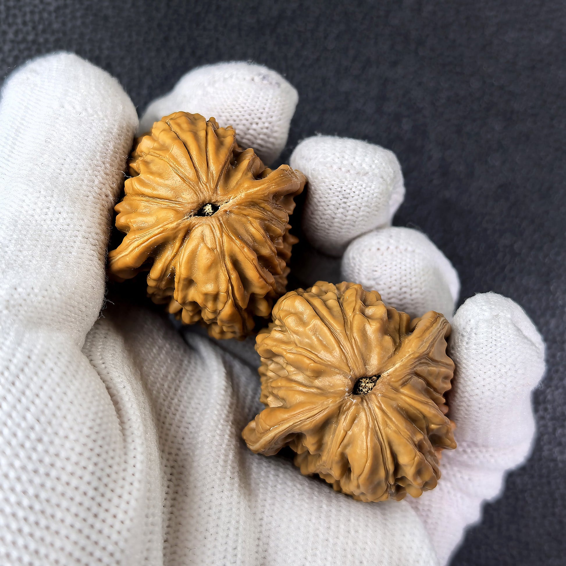The "Si Zuo Lou" Lion Head Pair | 34.0mm x 35.0mm | SZL-1007 - ThePatinaProject