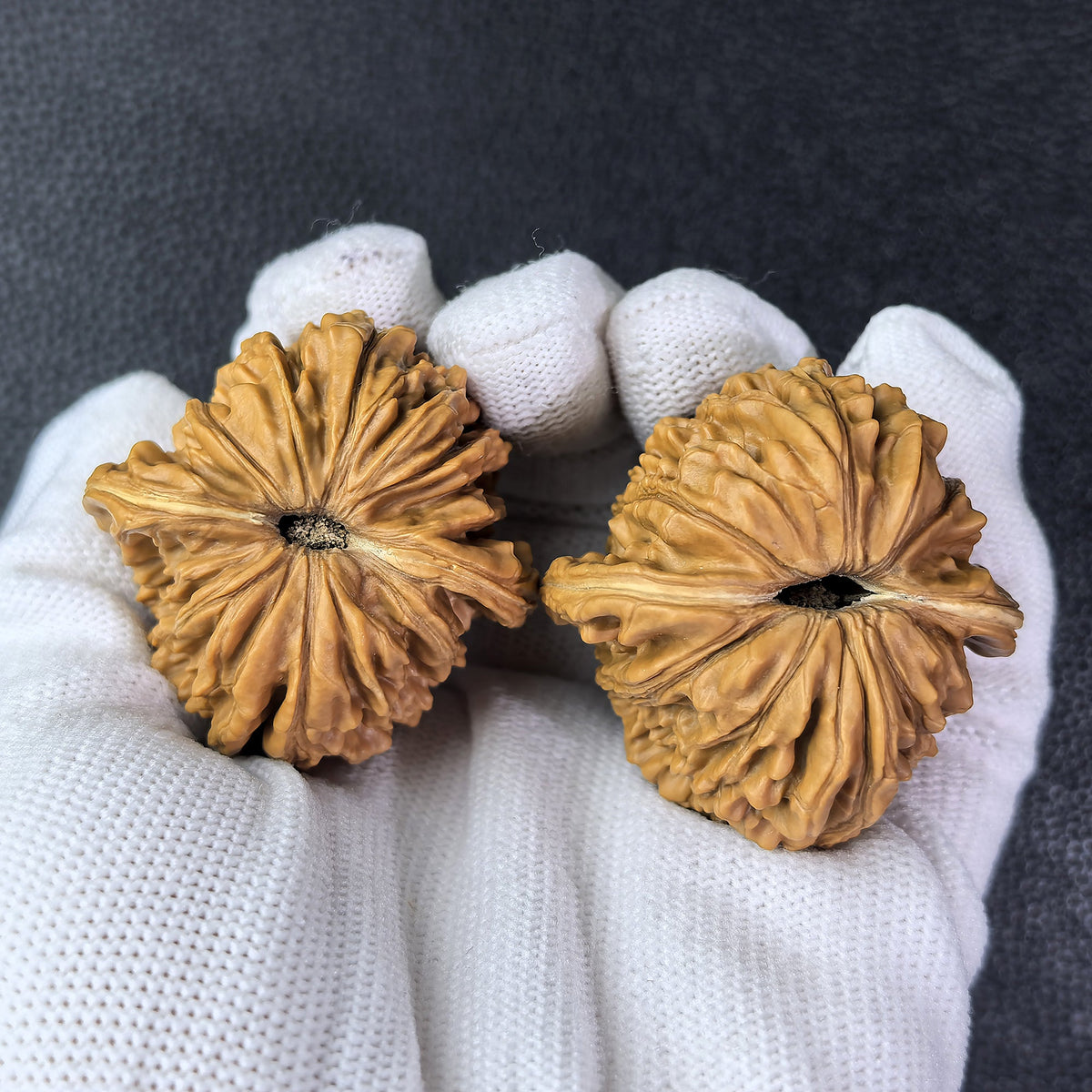 The "Si Zuo Lou" Lion Head Pair | 41.0mm x 41.0mm | SZL-1008 - ThePatinaProject