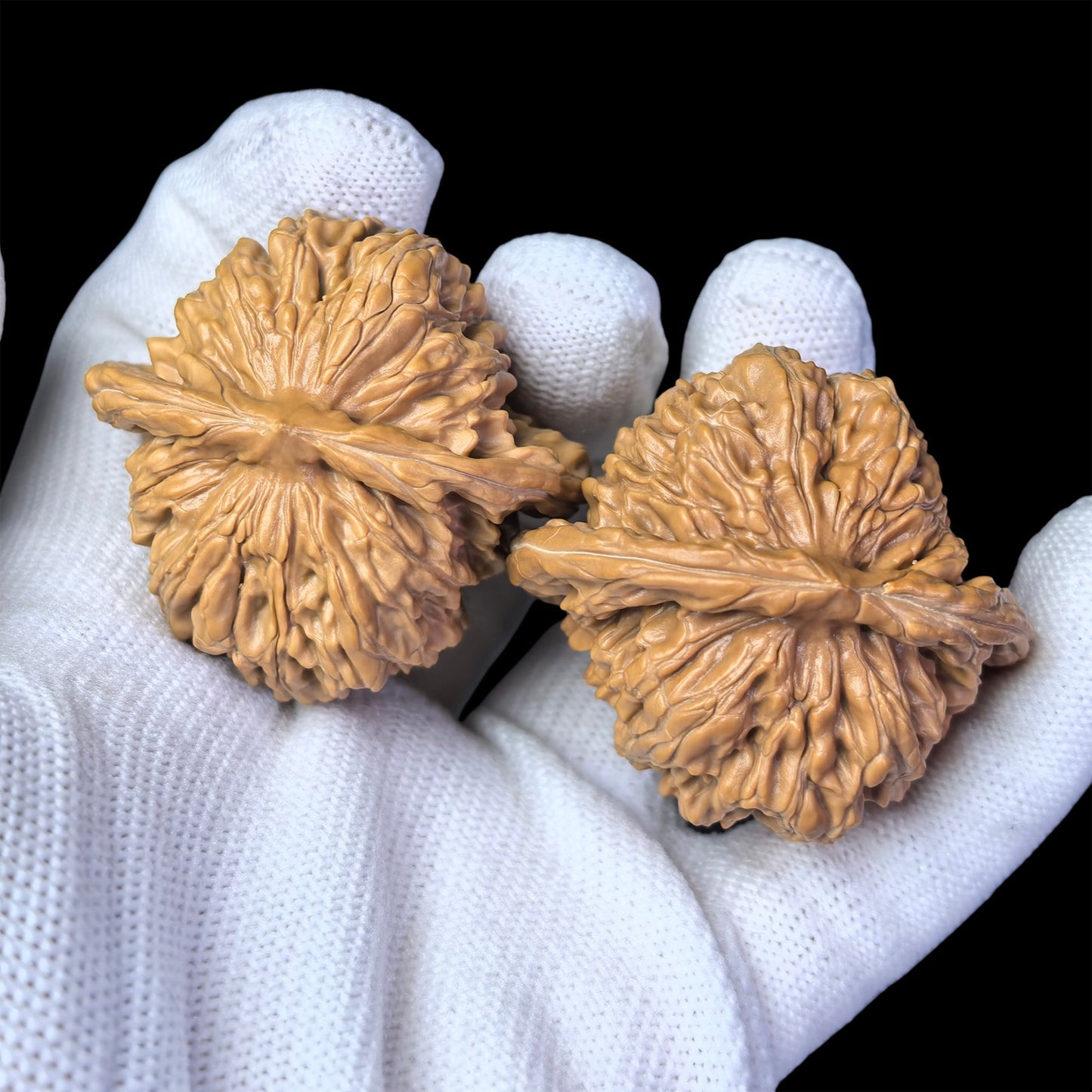 The "Si Zuo Lou" Lion Head Pair | 43.0mm x 39.0mm | SZL-1003 - ThePatinaProject