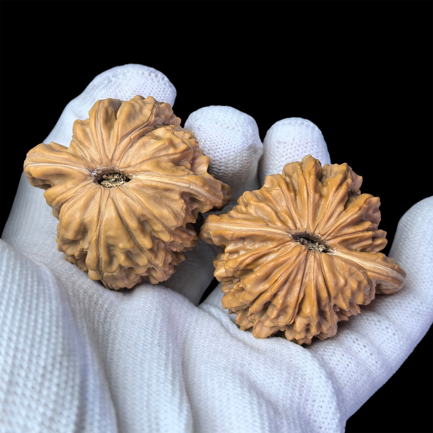 The "Si Zuo Lou" Lion Head Pair | 43.0mm x 39.0mm | SZL-1003 - ThePatinaProject