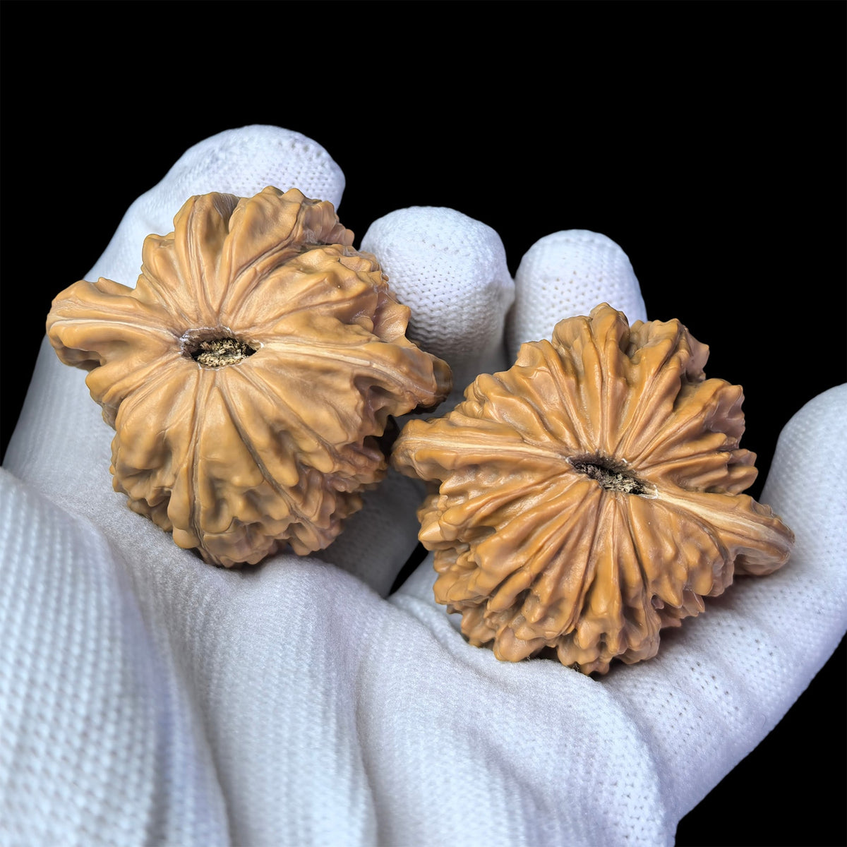 The "Si Zuo Lou" Lion Head Pair | 43.0mm x 39.0mm | SZL-1003 - ThePatinaProject