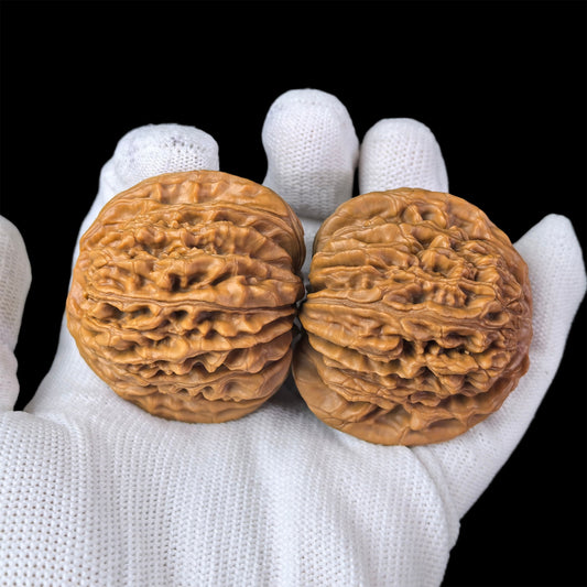The "Si Zuo Lou" Lion Head Pair | 45.0mm x 42.0mm | SZL-1004 - ThePatinaProject
