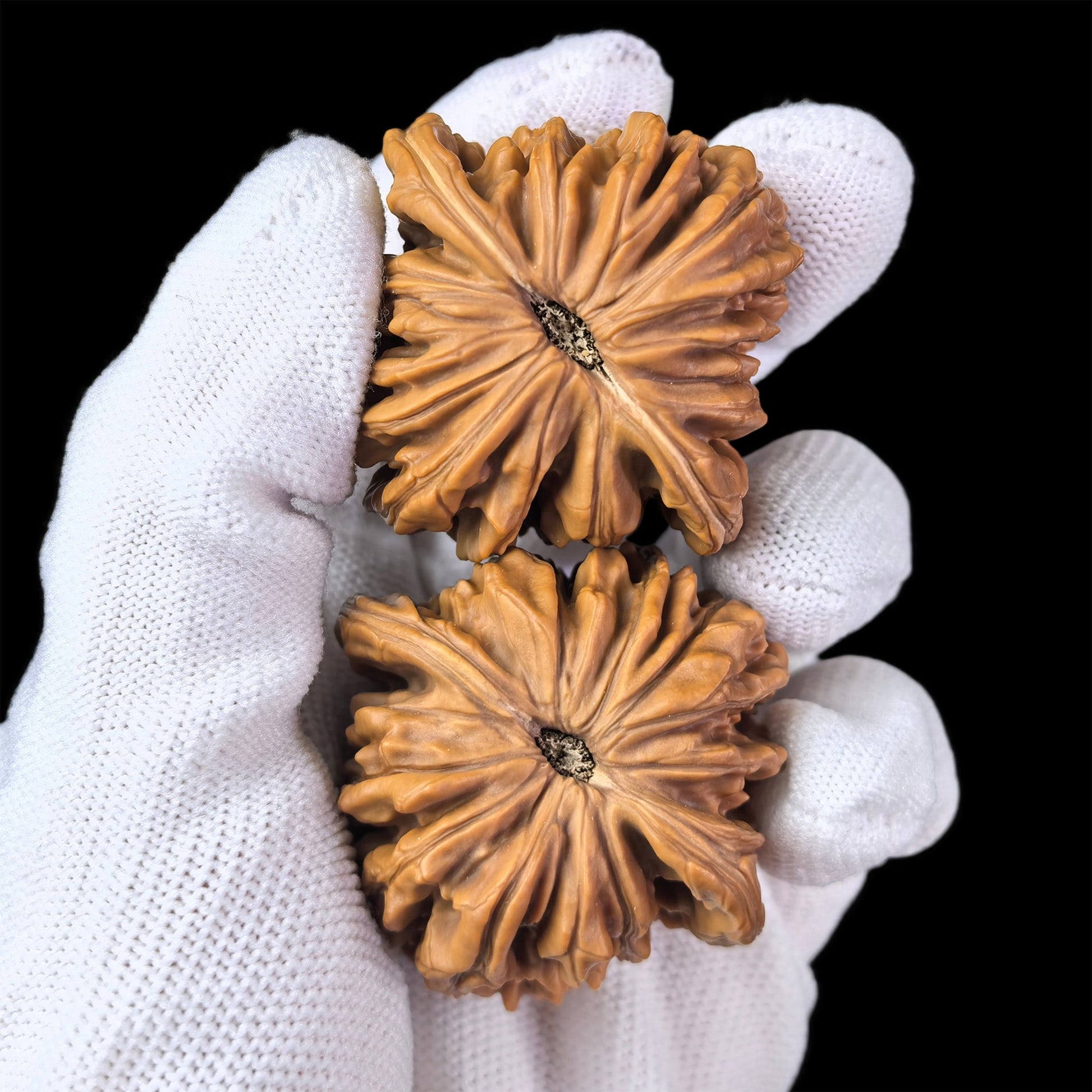 The "Si Zuo Lou" Lion Head Pair | 45.0mm x 42.0mm | SZL-1004 - ThePatinaProject