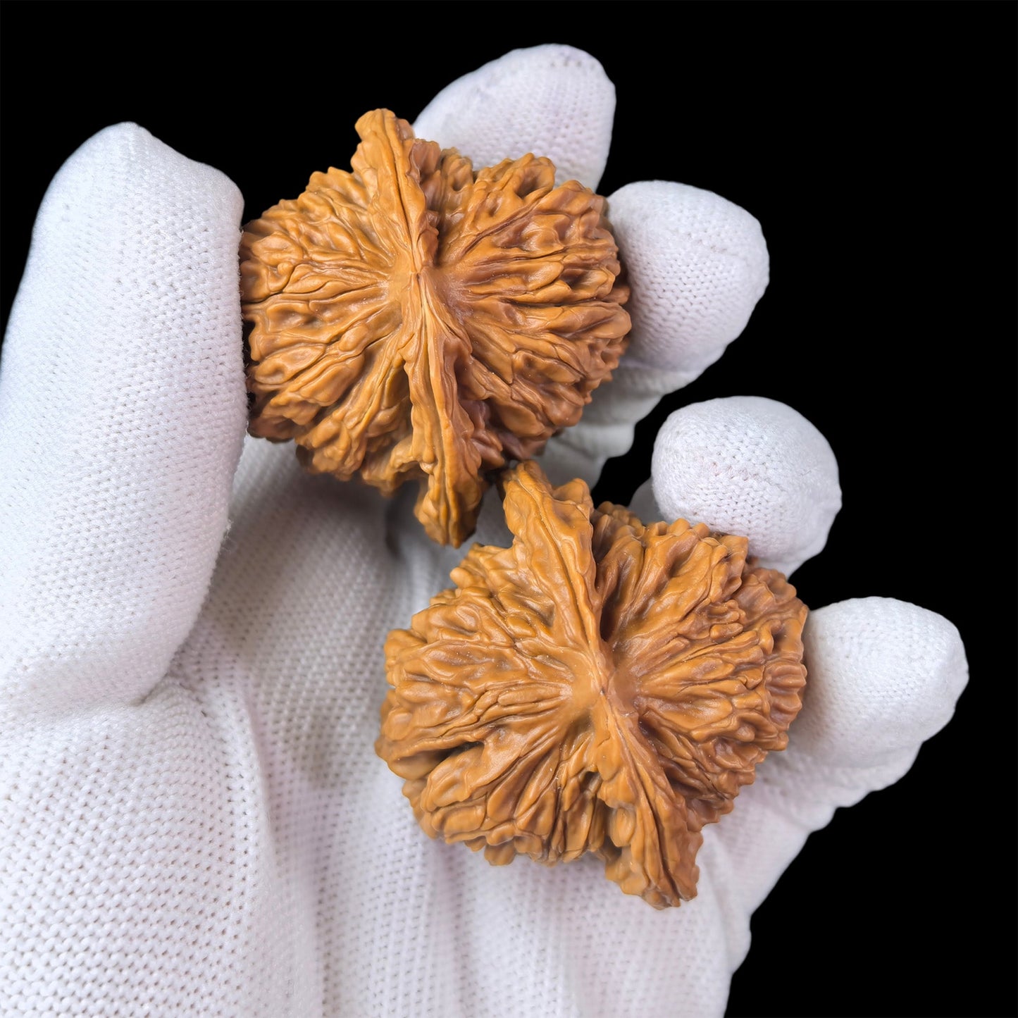 The "Si Zuo Lou" Lion Head Pair | 45.0mm x 42.0mm | SZL-1004 - ThePatinaProject
