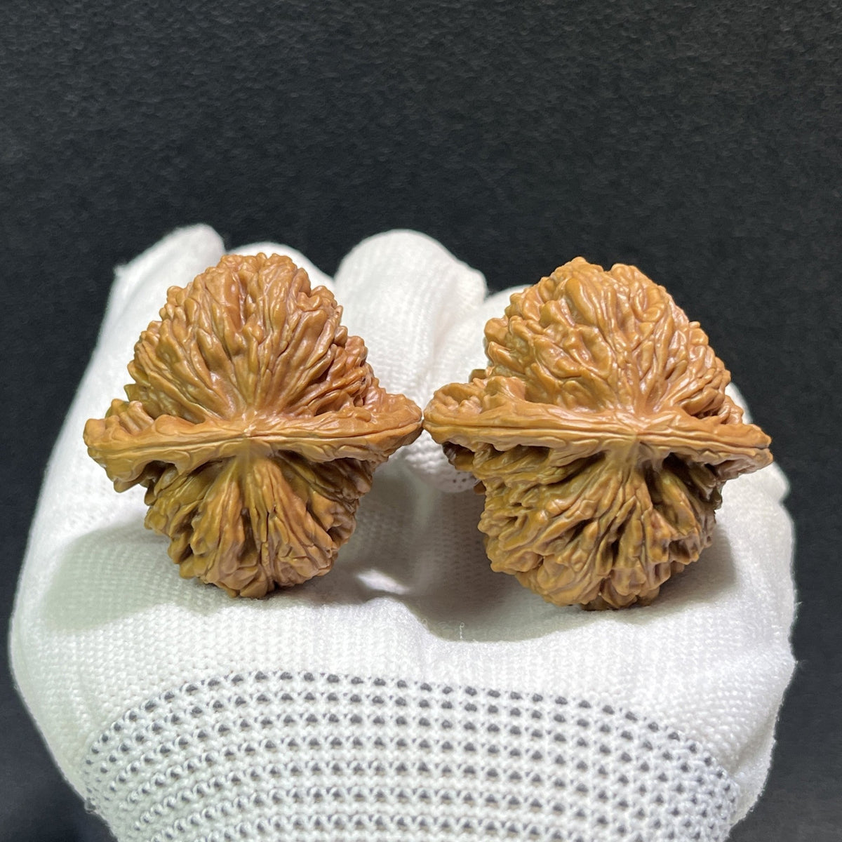 The "Si Zuo Lou" Lion's Head Pair | 38.0mm x 38.0mm | SZL-402 - ThePatinaProject