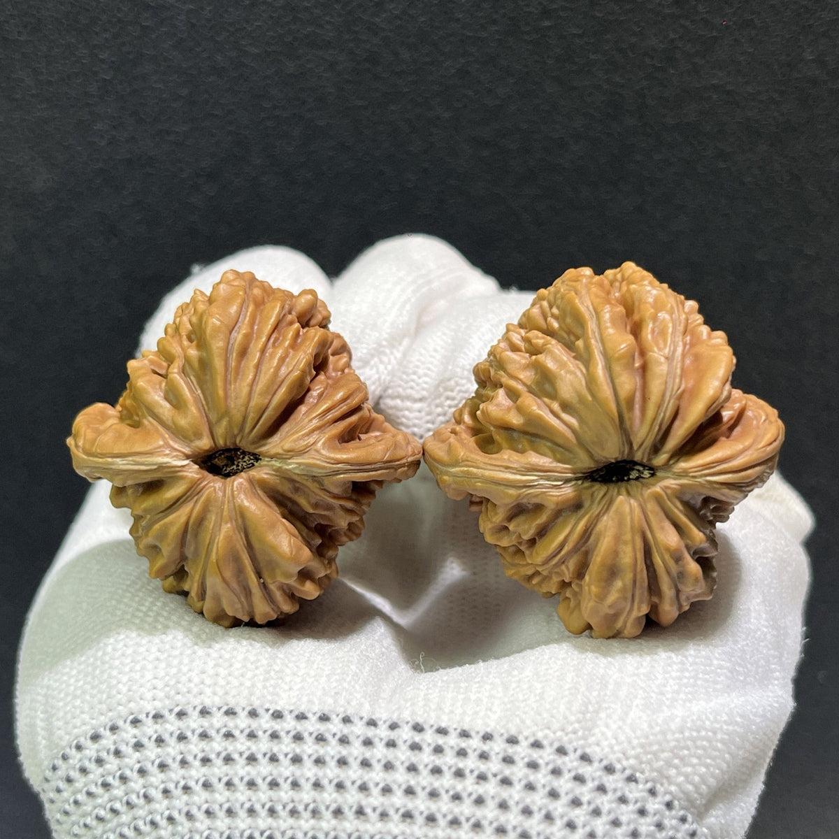 The "Si Zuo Lou" Lion's Head Pair | 38.0mm x 38.0mm | SZL-402 - ThePatinaProject