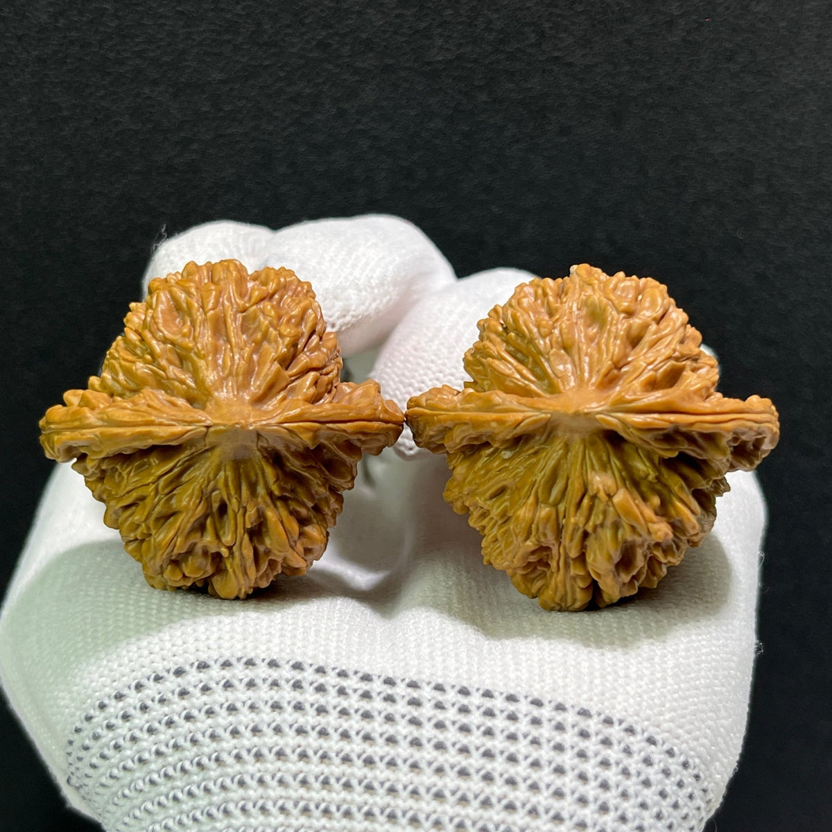 The "Si Zuo Lou" Lion's Head Pair | 40.0mm x 36.0mm | SZL-513 - ThePatinaProject