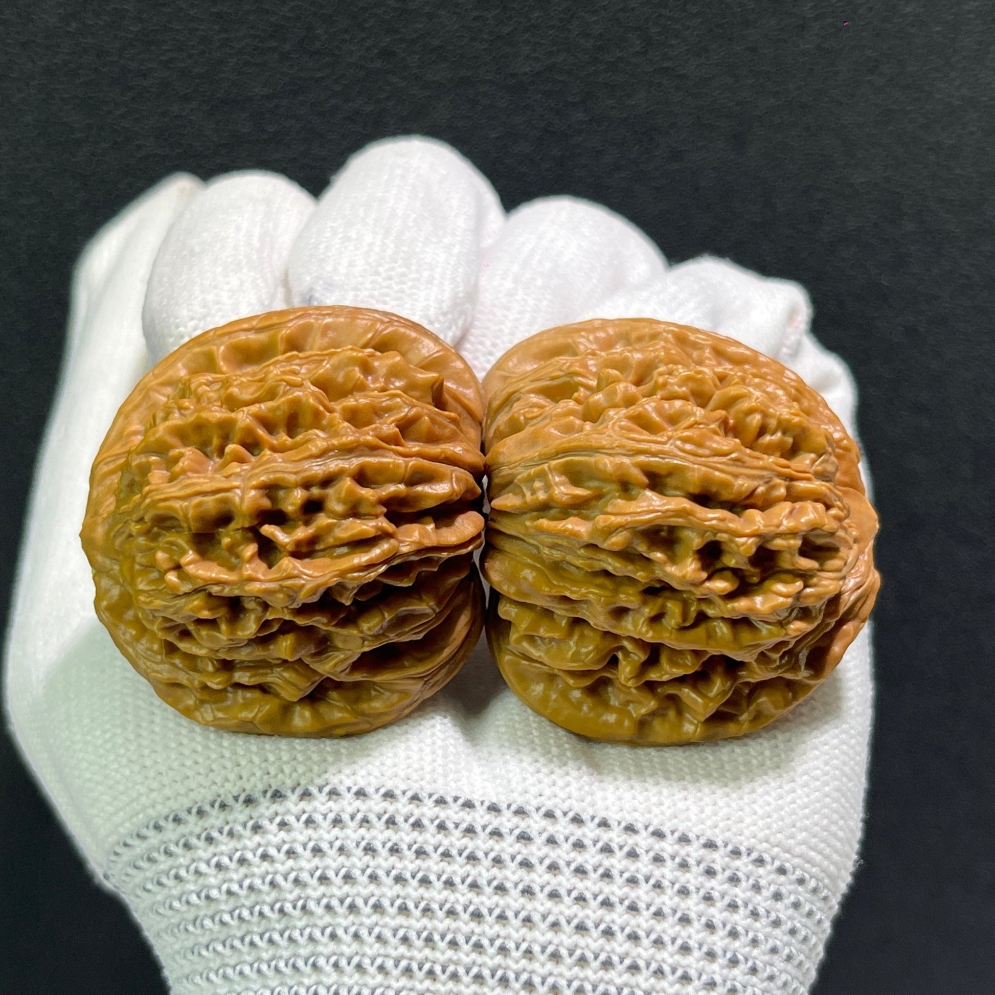 The "Si Zuo Lou" Lion's Head Pair | 40.0mm x 36.0mm | SZL-513 - ThePatinaProject
