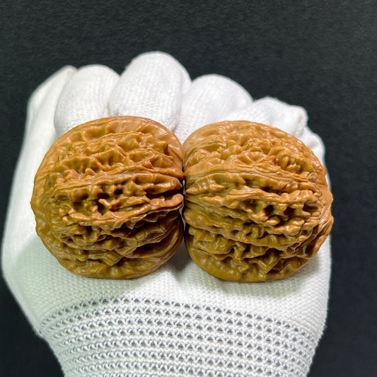 The "Si Zuo Lou" Lion's Head Pair | 40.0mm x 36.0mm | SZL-513 - ThePatinaProject