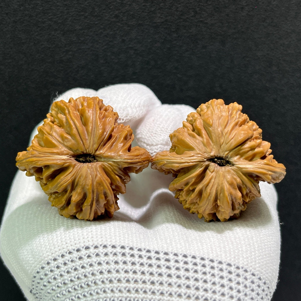 The "Si Zuo Lou" Lion's Head Pair | 40.0mm x 36.0mm | SZL-513 - ThePatinaProject