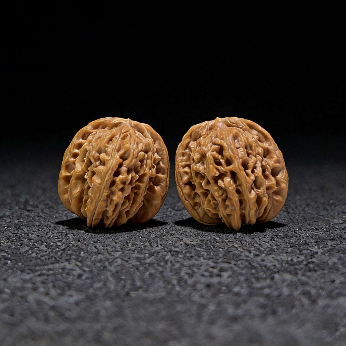 The "Si Zuo Lou" Lion's Head Pair | 40.0mm x 39.0mm | SZL-407 - ThePatinaProject