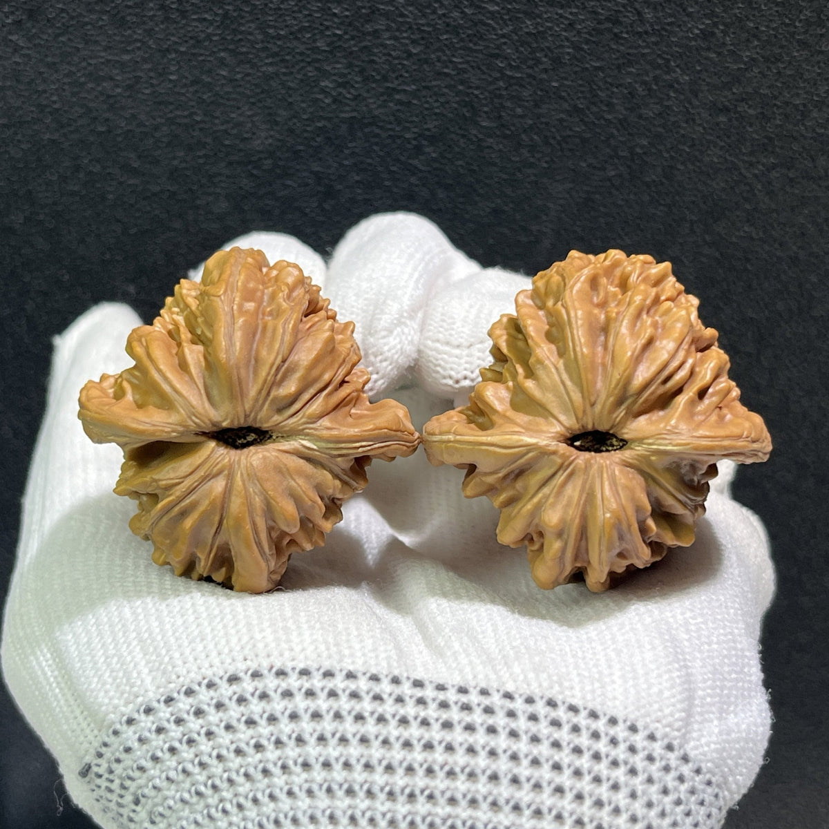 The "Si Zuo Lou" Lion's Head Pair | 40.0mm x 39.0mm | SZL-407 - ThePatinaProject