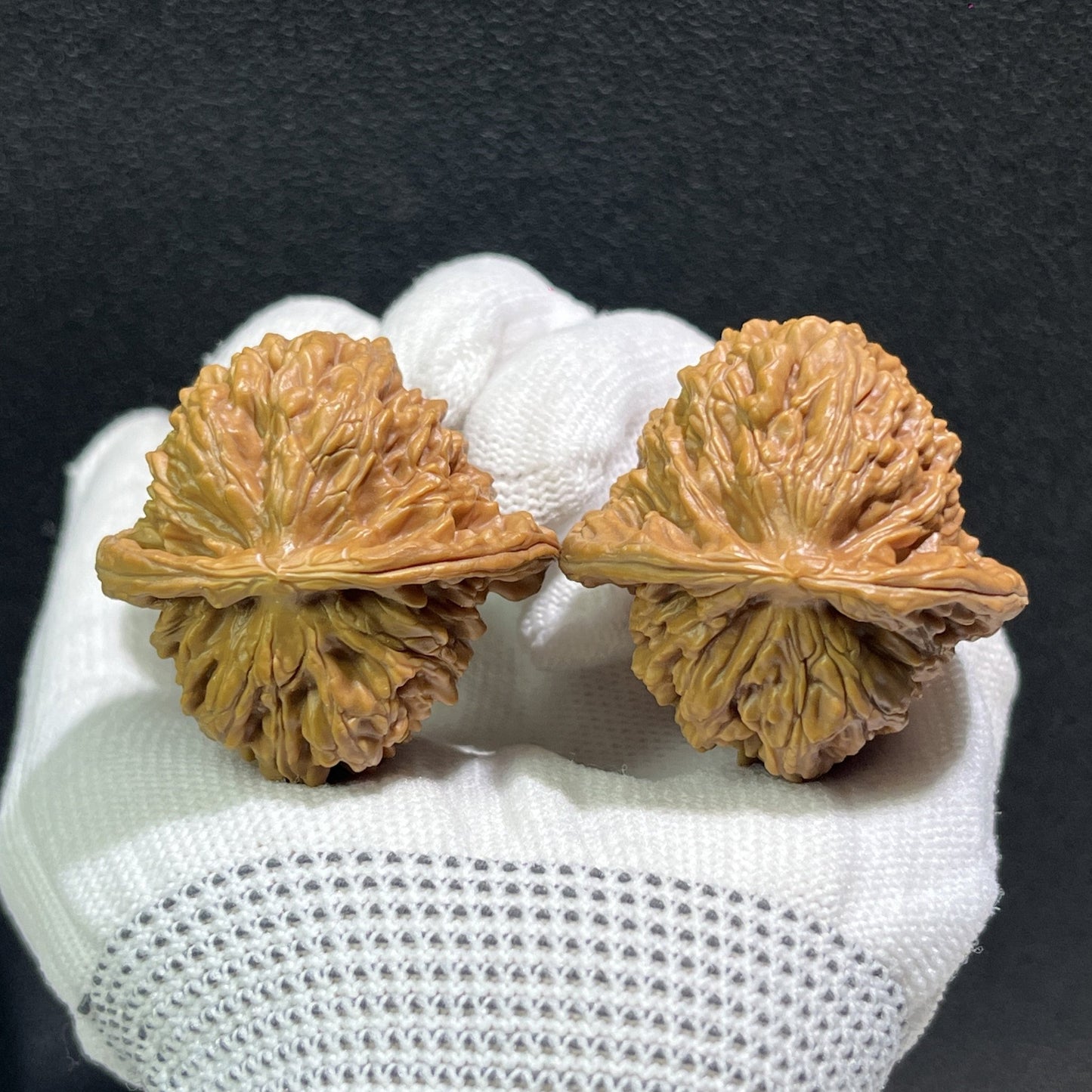 The "Si Zuo Lou" Lion's Head Pair | 40.0mm x 39.0mm | SZL-407 - ThePatinaProject