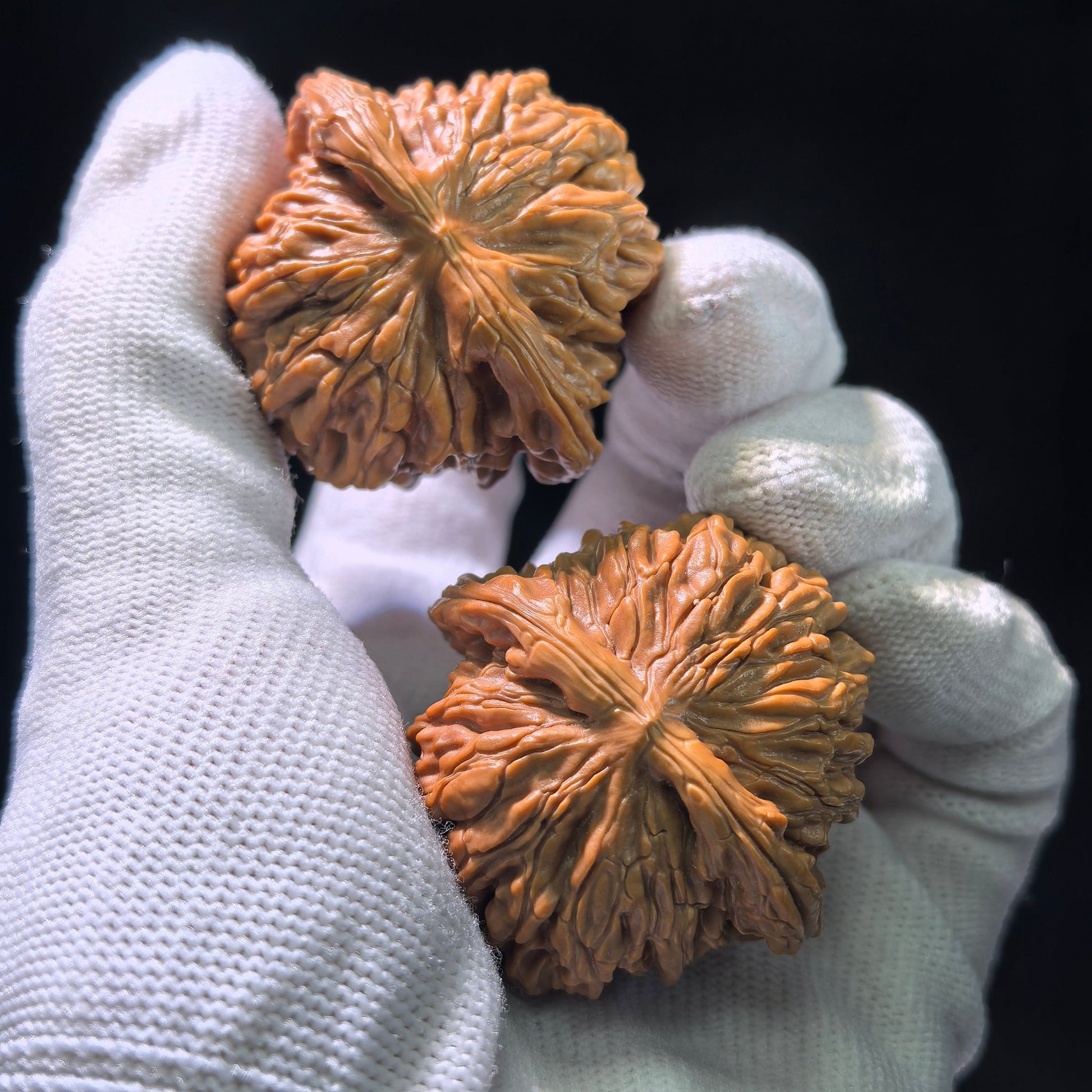 The "Si Zuo Lou" Lion's Head Pair | 40.0mm x 41.0mm | SZL-601 - ThePatinaProject