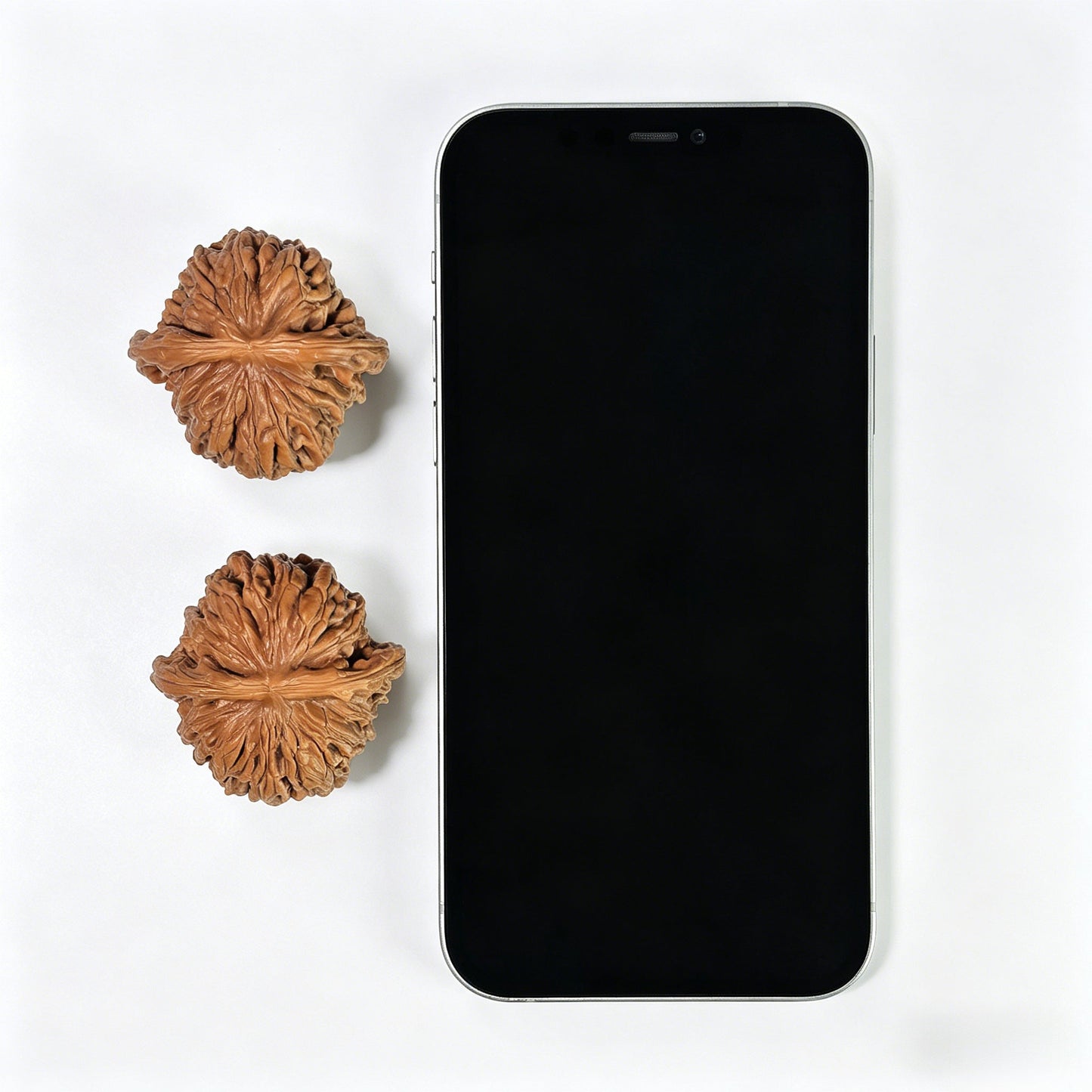 The "Si Zuo Lou" Lion's Head Pair | 40.0mm x 41.0mm | SZL-601 - ThePatinaProject
