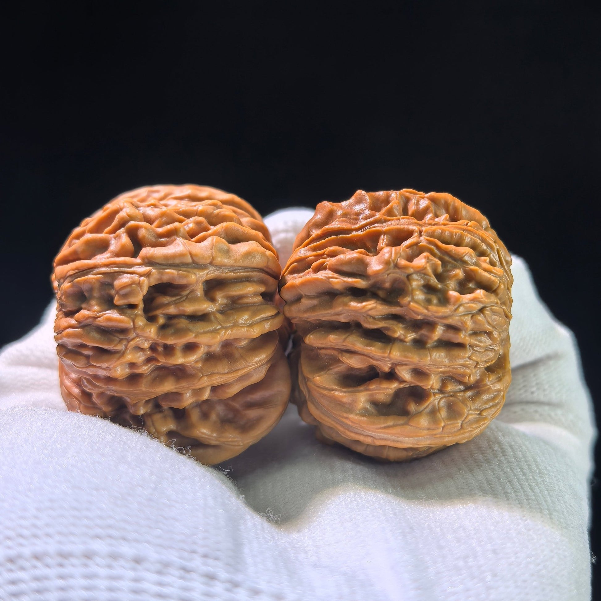 The "Si Zuo Lou" Lion's Head Pair | 40.0mm x 41.0mm | SZL-601 - ThePatinaProject