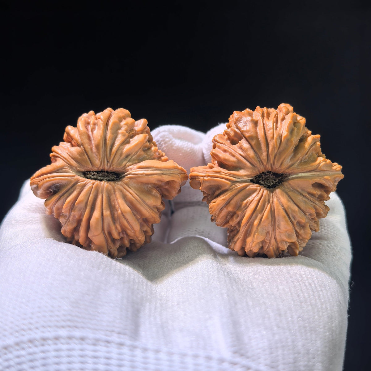 The "Si Zuo Lou" Lion's Head Pair | 40.0mm x 41.0mm | SZL-601 - ThePatinaProject
