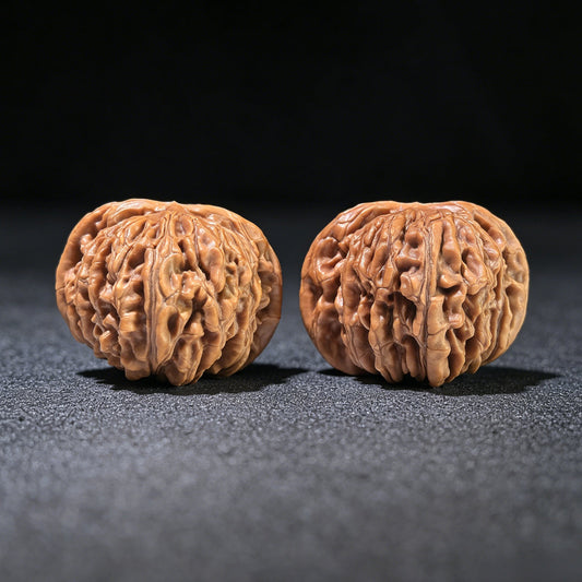 The "Si Zuo Lou" Lion's Head Pair | 40.0mm x 41.0mm | SZL-601 - ThePatinaProject
