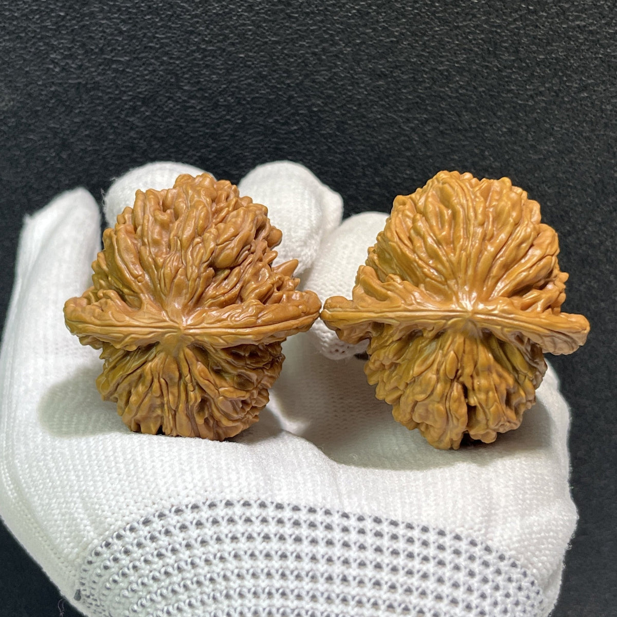 The "Si Zuo Lou" Lion's Head Pair | 40.0mm x 42.0mm | SZL-401 - ThePatinaProject