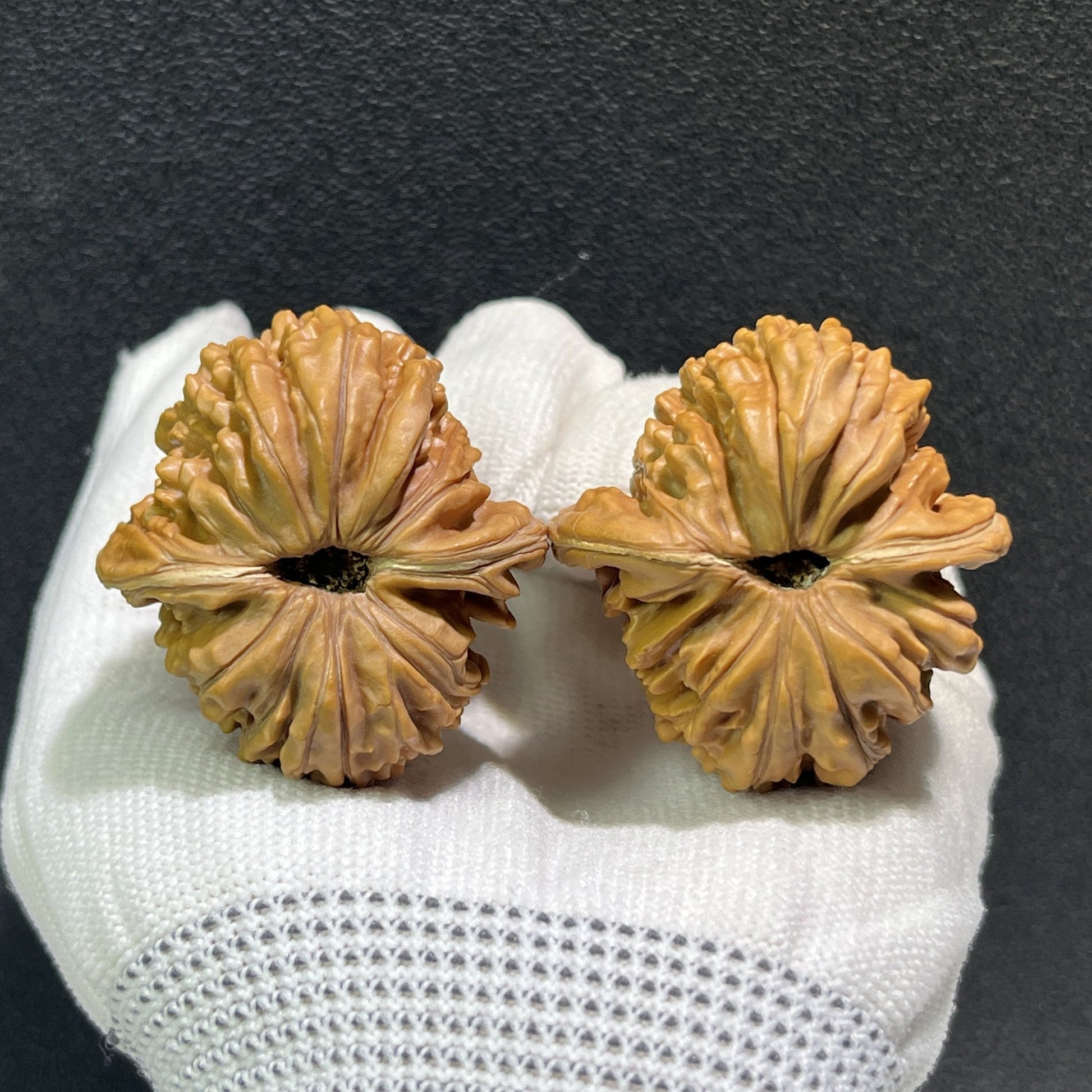 The "Si Zuo Lou" Lion's Head Pair | 40.0mm x 42.0mm | SZL-401 - ThePatinaProject