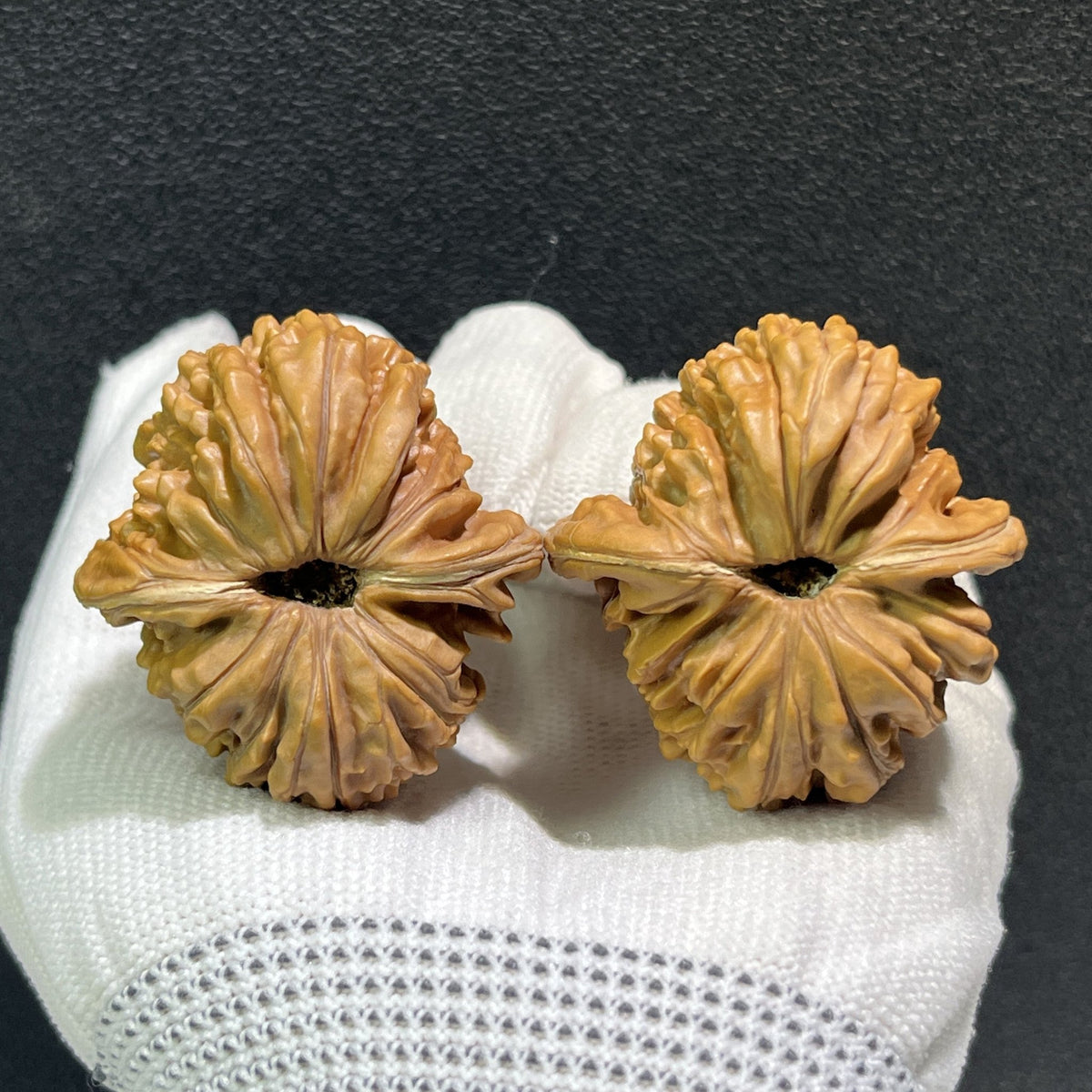 The "Si Zuo Lou" Lion's Head Pair | 40.0mm x 42.0mm | SZL-401 - ThePatinaProject
