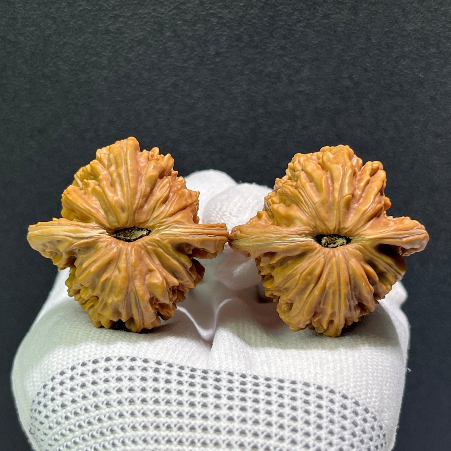 The "Si Zuo Lou" Lion's Head Pair | 41.0mm x 38.0mm | SZL-602 - ThePatinaProject