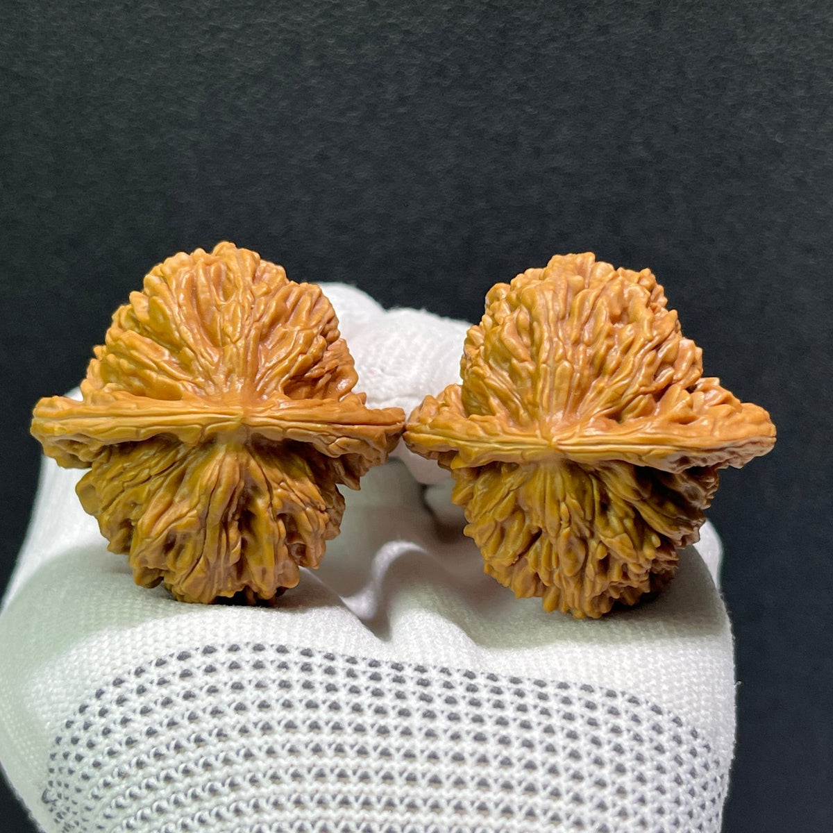 The "Si Zuo Lou" Lion's Head Pair | 41.0mm x 38.0mm | SZL-602 - ThePatinaProject