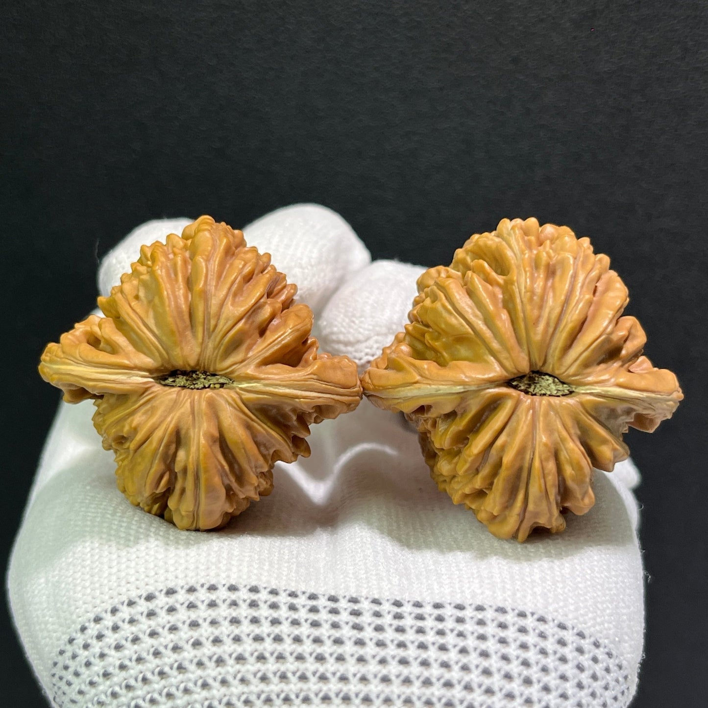The "Si Zuo Lou" Lion's Head Pair | 41.0mm x 41.0mm | SZL-512 - ThePatinaProject