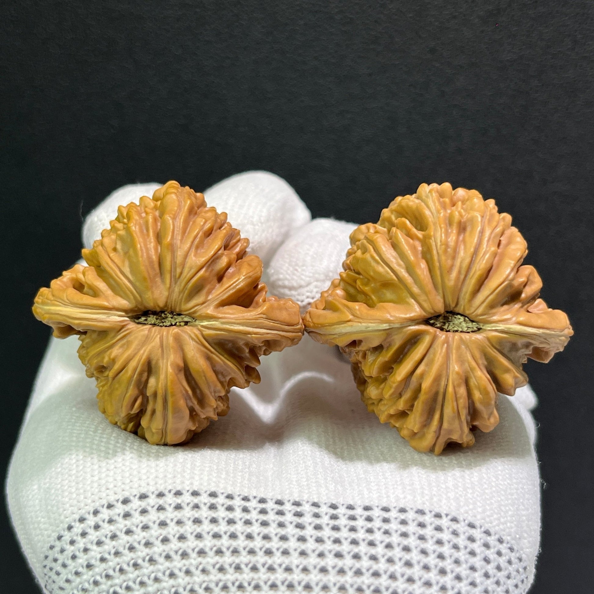 The "Si Zuo Lou" Lion's Head Pair | 41.0mm x 41.0mm | SZL-512 - ThePatinaProject