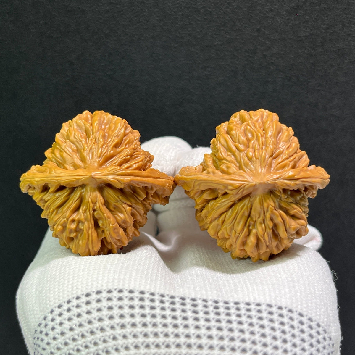 The "Si Zuo Lou" Lion's Head Pair | 41.0mm x 41.0mm | SZL-512 - ThePatinaProject