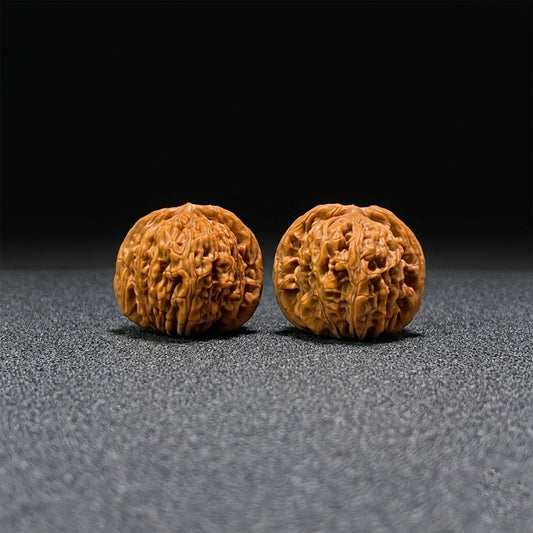 The "Si Zuo Lou" Lion's Head Pair | 42.0mm x 41.0mm | SZL-405 - ThePatinaProject