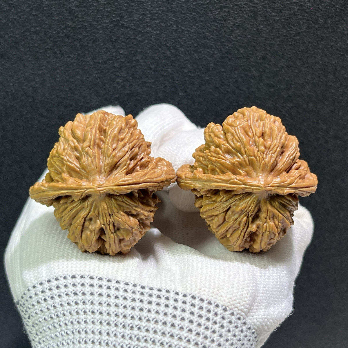 The "Si Zuo Lou" Lion's Head Pair | 42.0mm x 41.0mm | SZL-405 - ThePatinaProject