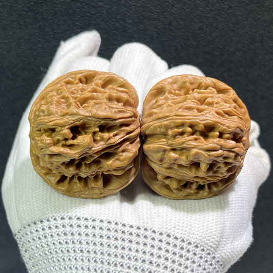 The "Si Zuo Lou" Lion's Head Pair | 42.0mm x 41.0mm | SZL-405 - ThePatinaProject